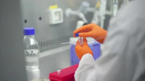 A Close up of person using dipstick in test tube Stock Footage 155536627