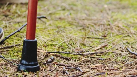 Close-up of Person Using a Walking Cane for Stability on Rough Woodland Trail 4K Stock Footage 303406764