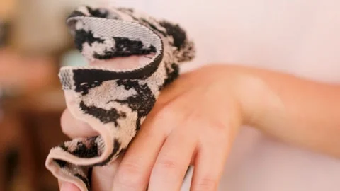 Close-up of Person Wiping Hands with Patterned Towel in Kitchen Stock Footage 345024688