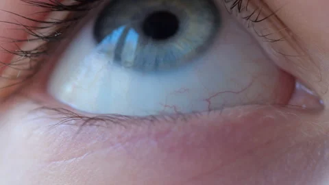 Close up of Person's Eye With Blue Iris. Blue Eye of Child Looking Up. Macro Stock Footage 279796430