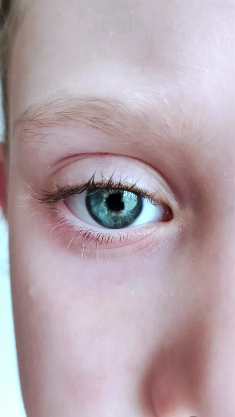 Close-up of Person's Eye With Blue Iris. Blue Eye of Child. Video stock 280708141
