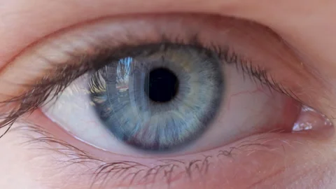 Close-up of Person's Eye With Blue Iris. Blue Eye of Child Looking Stock Footage 282423256