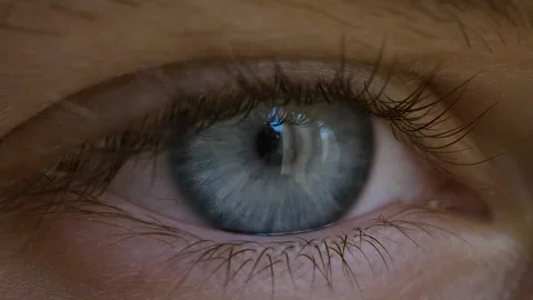 Close-up of Person's Eye With Blue Iris. Blue Eye of Child Looking at Camer.. Stock Footage 316151610