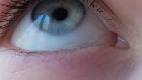 Close up of Person's Eye With Blue Iris. Blue Eye of Child Looking Up. Macr.. Stock Footage 329450462