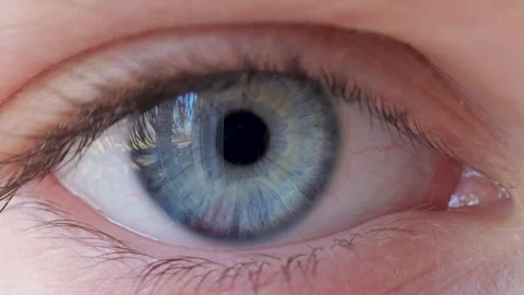 Close-up of Person's Eye With Blue Iris. Blue Eye of Child Looking at Camer.. Stock Footage 345746244