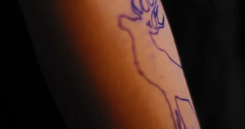 Close up of a person's hand with blue ink deer drawing, ready for tattooing Stock Footage 125764762