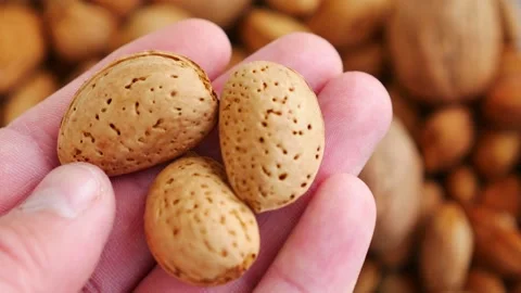 Close-up of a person's hand dry shelled almonds,shelled almonds, Stock Footage 167136980