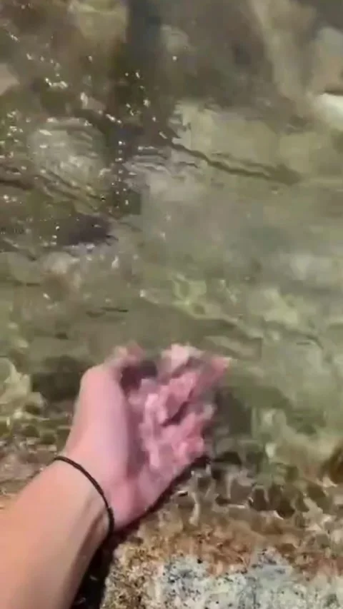 A close-up of a person's hand partially submerged in clear water. Stock Footage 312659331
