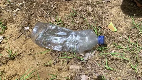 Close-up of a person's hand picking up a plastic bottle and cans in the grass Stock Footage 306226720