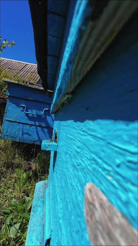 Close-Up Perspective Between Blue Wooden Beehives in Apiary 스톡 동영상 335078506