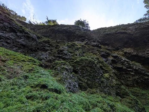 Close-up perspective of a moss-covered rock wall Photos