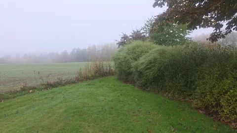 Close Perspective Of Neat Grass Path Beside Dense Low Hedge Stock Footage 348038129