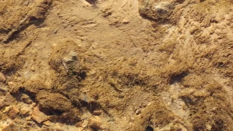 A close-up perspective of a shallow stream or river in Spain Stock Footage 330862585