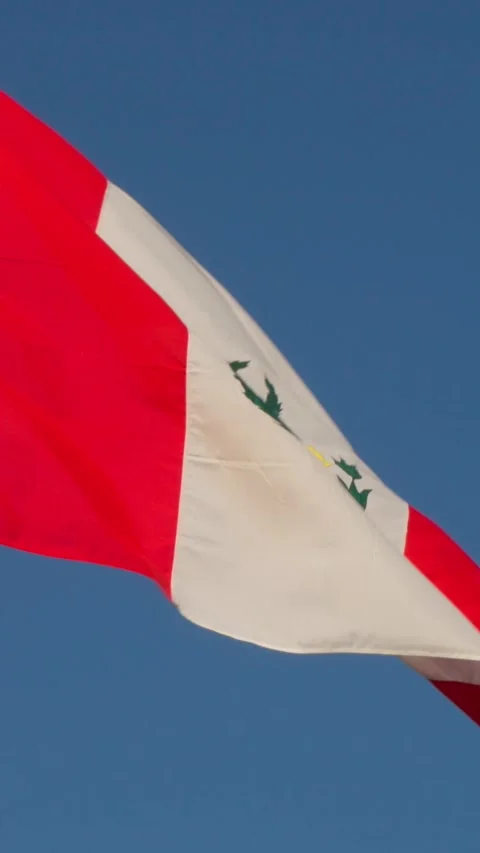Close up of Peruvian national flag with its coat of arms waving against a clear Video stock 333034332