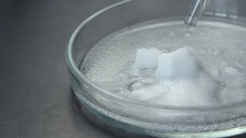 Close-up: In a petri dish, a white solid substance dissolves when a clear liquid Stock Footage 260940725