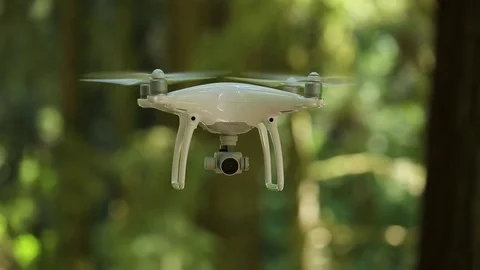 Close up of Phantom drone hovering in Redwood forest Stock Footage 73025752