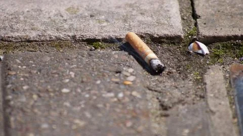 Close up Stock Photos