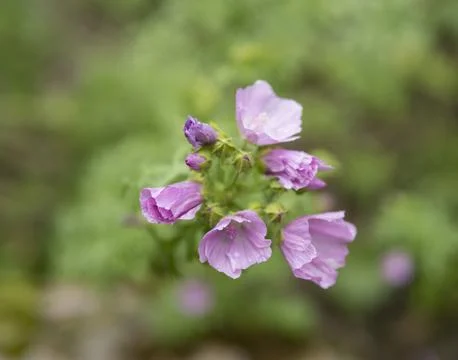 Close up of Stock Photos