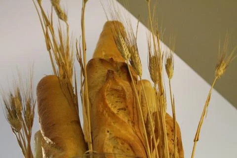 Close-up photo of bread 스톡 사진