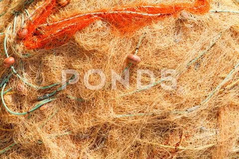 Close up photo of an empty toil Stock Photos