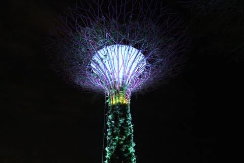 Close photo of Garden By The Bay Tower Singapore Stock Photos