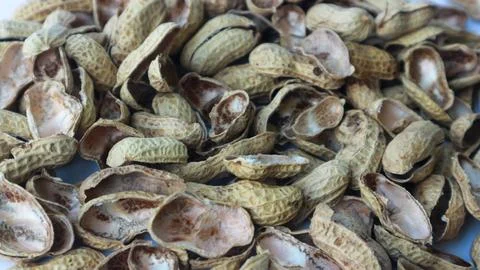 Close-up photo of peanut shell. Texture of peanut shells. Stock Photos