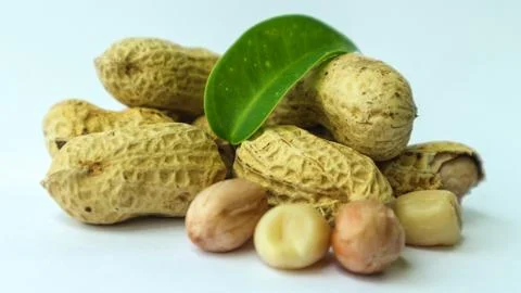 Close-up photo of peanut. Texture of peanut. Stock Photos