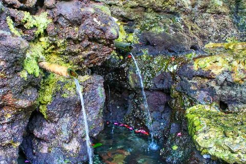 Close Up Photo Sacred Holy Spring Water Bamboo Spouts Shrine Tanah Lot Bali Stock Photos
