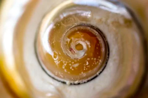 Close up photo of seashell Stock Photos