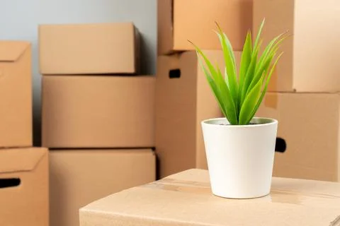 Close up photo of a stack of moving boxes Stock Photos
