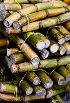 Close up photo of a stack of sugar cane sticks Stock Photos