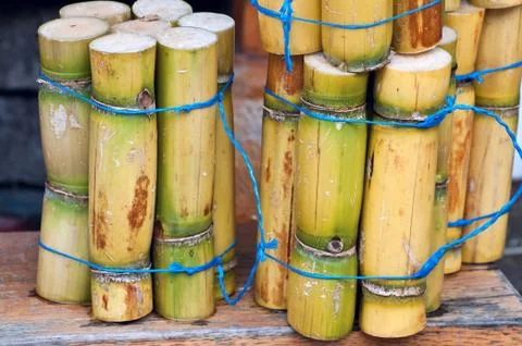 A close up photo of a stack of sugar cane sticks Stock Photos