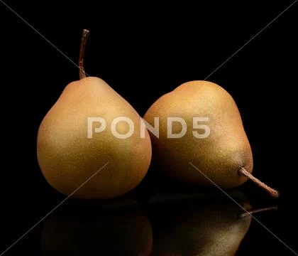 Close-up photo of two pears called manon isolated on black background ...