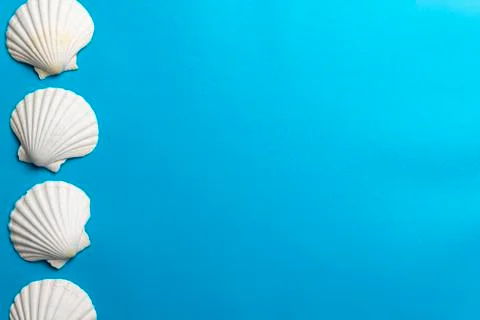 Close up photo of white shells with copy space Stock Photos