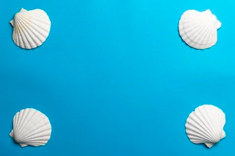 Close up photo of white shells with copy space Stock Photos