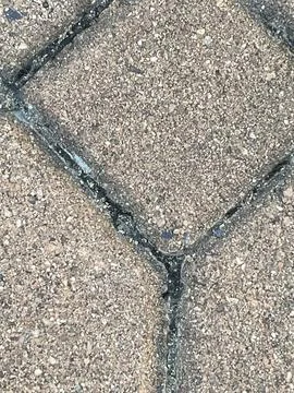 A close-up photograph of interlocking pavement blocks 스톡 사진