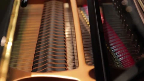 Close up of Piano hammer assembly moving as pianist playing the music. Vidéo 158753514