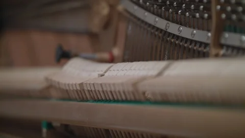 Close Up of Pianotuner Using a Papp's Mute 2 스톡 동영상 90458499