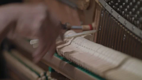 Close Up Pianotuner Using a Papp's Mute 스톡 동영상 90458766