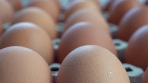Close up,Pick up hen eggs from the tray Stock Footage 112200350