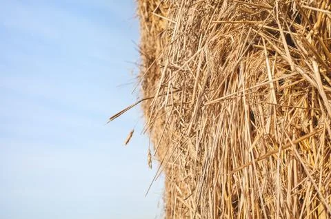 Close up picture of a haystack against the sky. Stock Photos