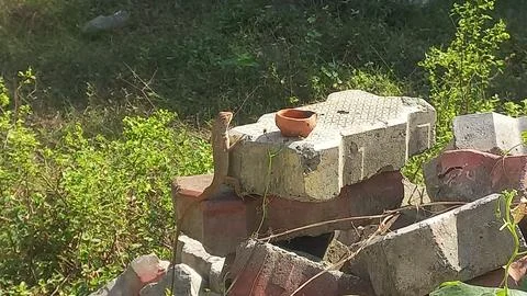 Close up picture of a  lizard sitting on a stone Stock Photos