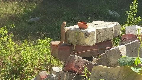 Close up picture of a  lizard sitting on a stone Stock Photos