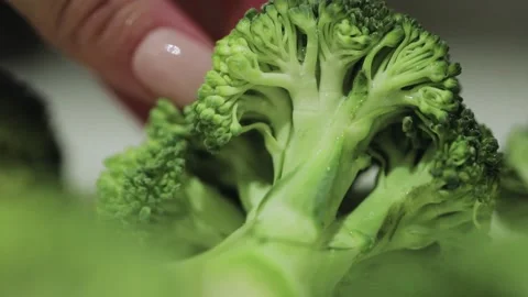 A close up of a piece of broccoli Video stock 155455391