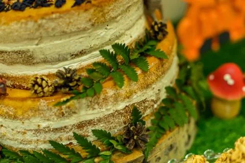 Close-up of a piece of cake with bare cake and white cream and green fern. Fotos de archivo