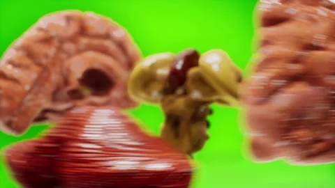 A close up of a piece of cake Stock Footage 155227200