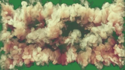 Close up of piece food on some clouds in it bunch brown flowers smoke coming Stock-Footage 336893222