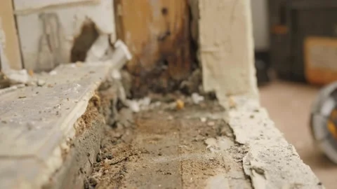 A close up of a piece of wood Stock Footage 155537215