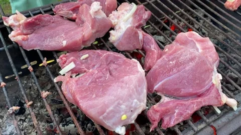 Close-up pieces of raw red meat lie and are grilled on a charcoal grill Stock Footage 200493641