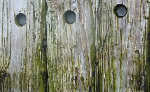 Up close pier Foto stock